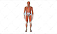 create a medical website and 3d visuals for your brand
