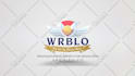 create clean logo reveal
