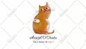 make talking dog and talking cat video message