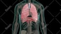 make 3d and 2d medical animated videos