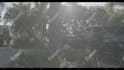 vfx cleaning your video, removing wires, removing objects, graphics