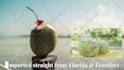create realistic ai influencer ugc ads for you