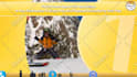 do travel agency, travel agent and travel planer  promo video