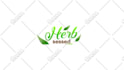 create stunning video sales letter vsl
