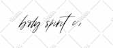 create a stunning signature logo animation