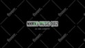 create 1 of 6 neon lights video ad campaigns for your logo