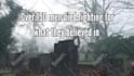 make you an awesome book trailer