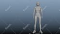 do animation in autodesk maya