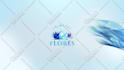 create an amazing youtube intro video custom logo animation
