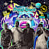 make motion graphics flyer for dj event or music artwork