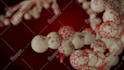 create professional 3d animation for you