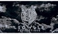 create 3d grunge rock logo intro