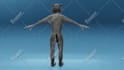 do 3d animation video and 3d character, blender
