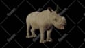 create 3d model animal low poly and realis texture