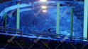make the 3d environment of your choice