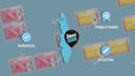 create custom 2d animated explainer video for business and product