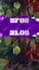 do animate motion graphics design for caribben flyer, event flyer, party flyer