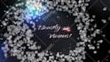 do diamond luxury logo video intro animation