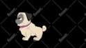 create 2d animations for gifs, youtube, ads and more
