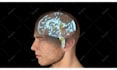 create a medical website and 3d visuals for your brand