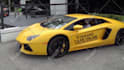 put your logo on a realistic car promo video in HD