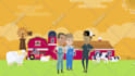 create an animated explainer video, motion graphics, commercial or sale video