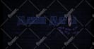 design neon logo with neon sign animation