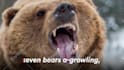 animate a custom promotional video