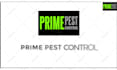 create pest control service commercial promo video