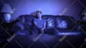 do professional vfx, compositing, special effects, and video effects