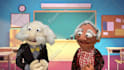 record a doctor or professor puppet video about anything
