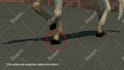 do realistic 3d rendering for your product
