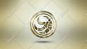 do 2d or 3d rotating, spinning logo animation mp4 gif