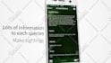 create an engaging mobile app promo video