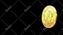 do 3d animation promo intro  with your logo on crypto coin