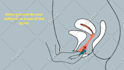 create 2d character animated explainer video for your business within 48 hours