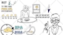 create professional whiteboard animation