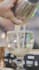 do professional social media video editing