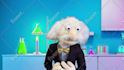 record a puppet video to promote anything