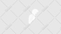animate svg for web and android