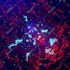 design motion graphics and loop