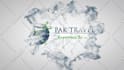 create 3 wonderful intros for your logo