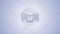 create a custom logo animation and professional reveal
