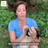 add synced subtitles or captions to your video