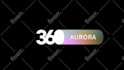 create a premium custom logo reveal animation