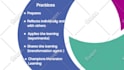 do a professional motion graphics animation explainer video