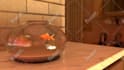 create low and high poly 3d models and props for you in maya