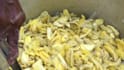make viral village cooking video for your youtube