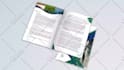 create a professional book interior promo video