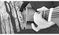 create beautiful custom lyric video for you